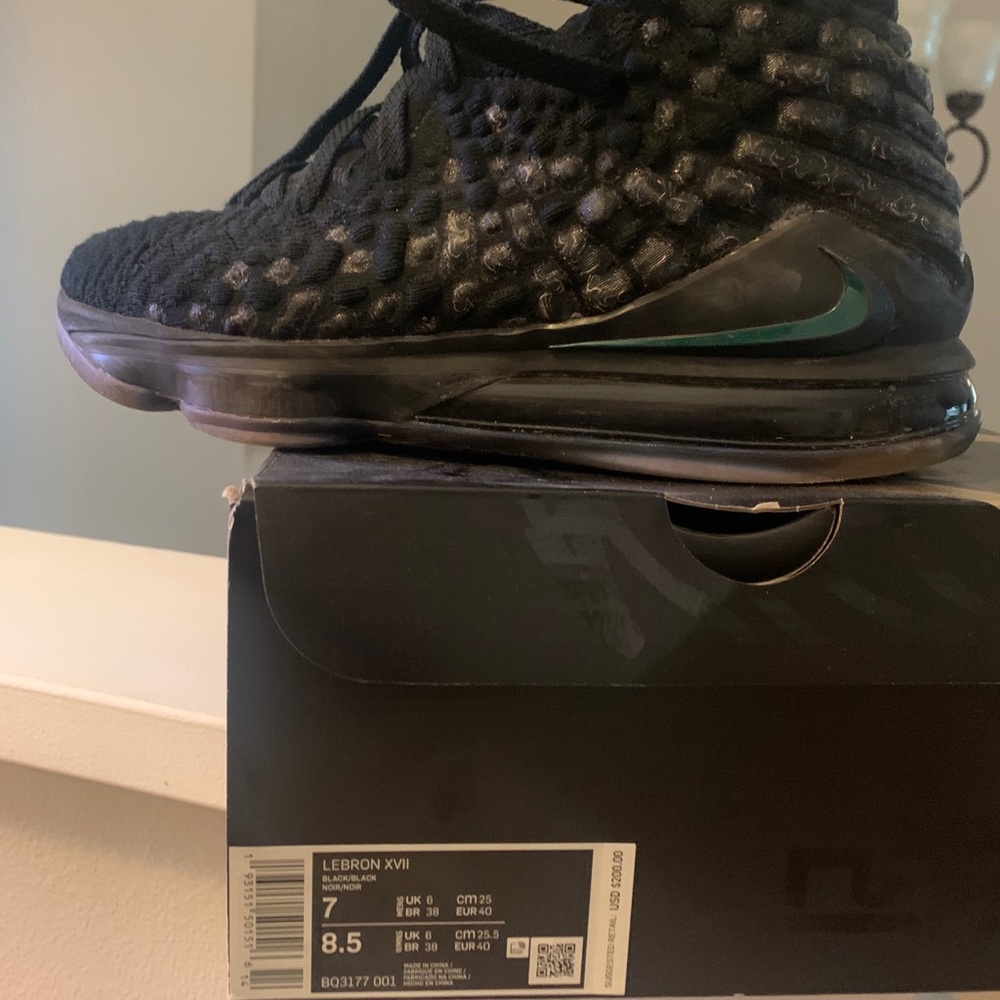 Lebron xv11 man